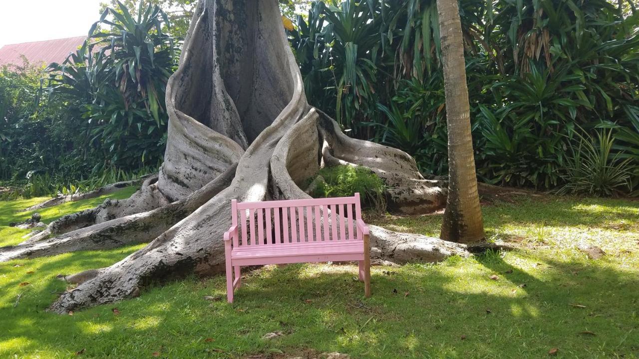 Llantrissant Beachcliff Villa Negril Eksteriør bilde
