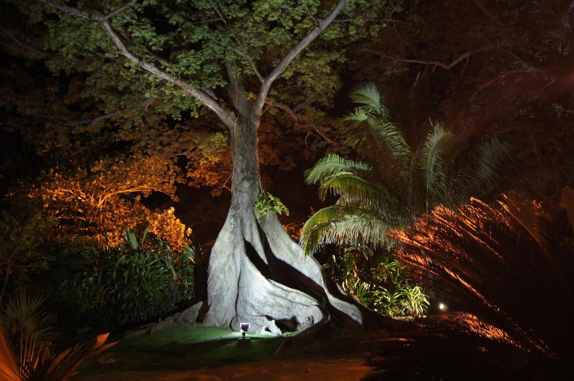 Llantrissant Beachcliff Villa Negril Eksteriør bilde